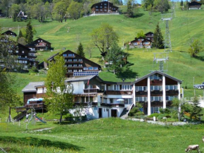 Hotels in Braunwald